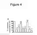 Fig. 10 - HAPLOTYPE DETECTION