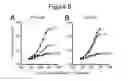 Fig. 20 - HAPLOTYPE DETECTION