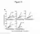Fig. 23 - HAPLOTYPE DETECTION