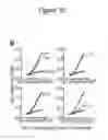 Fig. 24 - HAPLOTYPE DETECTION