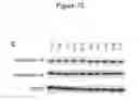 Fig. 25 - HAPLOTYPE DETECTION