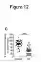 Fig. 29 - HAPLOTYPE DETECTION