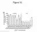 Fig. 30 - HAPLOTYPE DETECTION