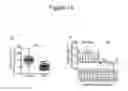 Fig. 33 - HAPLOTYPE DETECTION