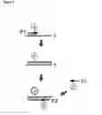 Fig. 03 - Amplification and Sequencing of Transrenal Nucleic Acids