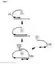 Fig. 08 - Amplification and Sequencing of Transrenal Nucleic Acids