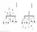 Fig. 05 - Systems and methods for preparation and separation of products