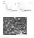 Fig. 03 - NANO-CATALYST FILTER AND PRODUCTION METHOD FOR SAME