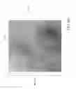 Fig. 09 - High content polyamide hot-applied thermoplastic composition