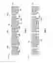 Fig. 08 - Shower