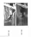 Fig. 19 - Methods, systems and apparatus for roof de-icing