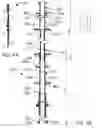Fig. 10 - Construction prop assembly