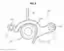 Fig. 07 - Lever device for vehicle door handle