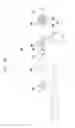 Fig. 11 - Rotary device and electronic device having the same