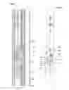 Fig. 05 - Purely rotational casement window