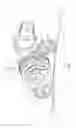 Fig. 06 - Door cable pulley system