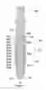 Fig. 13 - Sucker rod apparatus and method