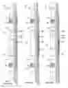 Fig. 02 - Flow resistant packing element system for composite plug