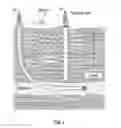 Fig. 06 - Electromagnetic telemetry for measurement and logging while drilling and magnetic ranging between wellbores