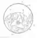 Fig. 01 - Rotor assembly for rotary internal combustion engine