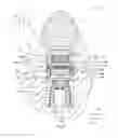 Fig. 05 - Torsion assembly for controllably providing torque to a camshaft