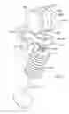 Fig. 02 - Switching rocker arm