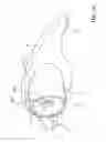 Fig. 17 - Valvetrain assembly