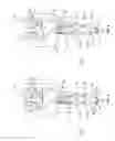 Fig. 03 - Single Actuator Fuel Injector for Duel Fuels