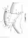 Fig. 04 - Compressor airfoil
