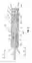 Fig. 16 - Energy efficient fluid powered linear actuator with variable area