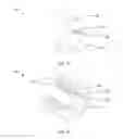 Fig. 02 - ADJUSTABLE SHEAR KEY