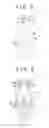 Fig. 04 - INTERNAL COMBUSTION ENGINE