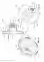 Fig. 20 - Continuously and/or infinitely variable transmissions and methods therefor