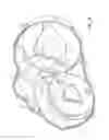 Fig. 31 - Continuously variable transmission