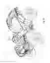 Fig. 37 - Continuously variable transmission