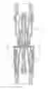 Fig. 06 - Quick-fit hydraulic or hydrodynamic coupling for pressurized fluids