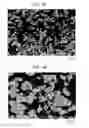 Fig. 05 - Green-emitting phosphor particles, method for manufacturing green-emitting phosphor particles, color conversion sheet, light-emitting device, and image display device assembly