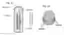 Fig. 02 - Active cryogenic electronic envelope