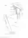 Fig. 03 - Automatic handgun