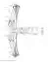 Fig. 06 - Narrow crossbow with large power stroke