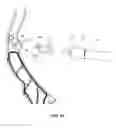 Fig. 19 - POSITIONING SYSTEM AND DEVICE FOR ARCHERY BOW STABILIZERS