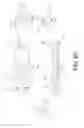 Fig. 10 - Adjustable firearm stock adapter assembly