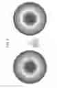 Fig. 10 - Spectroscopic image acquiring apparatus and spectroscopic image acquiring method
