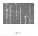 Fig. 04 - Method and device for chirality assignment of carbon nanotube