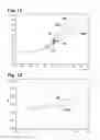 Fig. 09 - ANALYSIS METHOD AND SYSTEM FOR ANALYZING A NUCLEIC ACID AMPLIFICATION REACTION