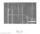 Fig. 03 - Method and device for imaging 1-D nanomaterials
