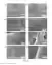Fig. 05 - Surface-enhanced raman scattering substrate and manufacturing method thereof