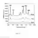 Fig. 14 - Surface-enhanced raman scattering substrate and manufacturing method thereof