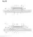 Fig. 15 - Surface-enhanced raman scattering unit and raman spectroscopic analysis method