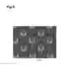 Fig. 06 - Surface-enhanced raman scattering unit and raman spectroscopic analysis method